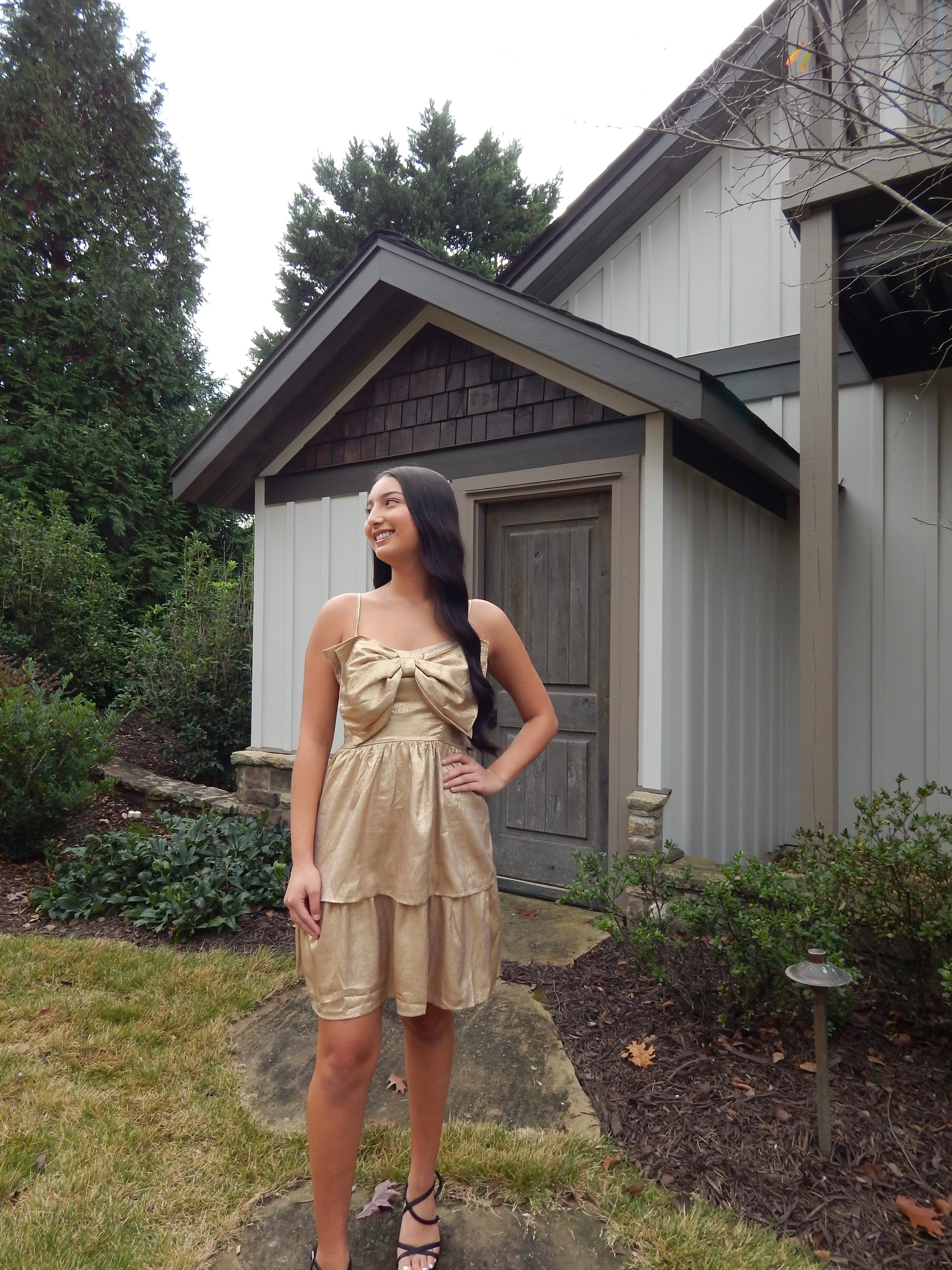 Willow Dress
