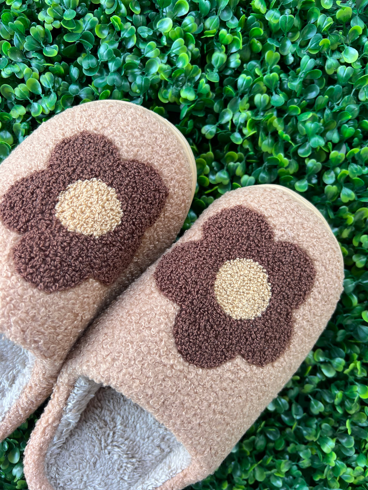 BF Slipper