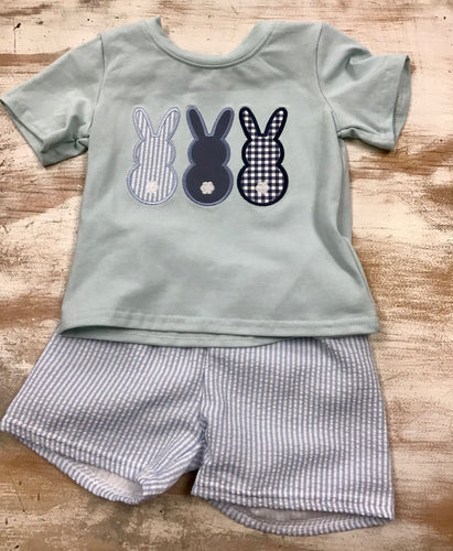 Blue Bunny Set
