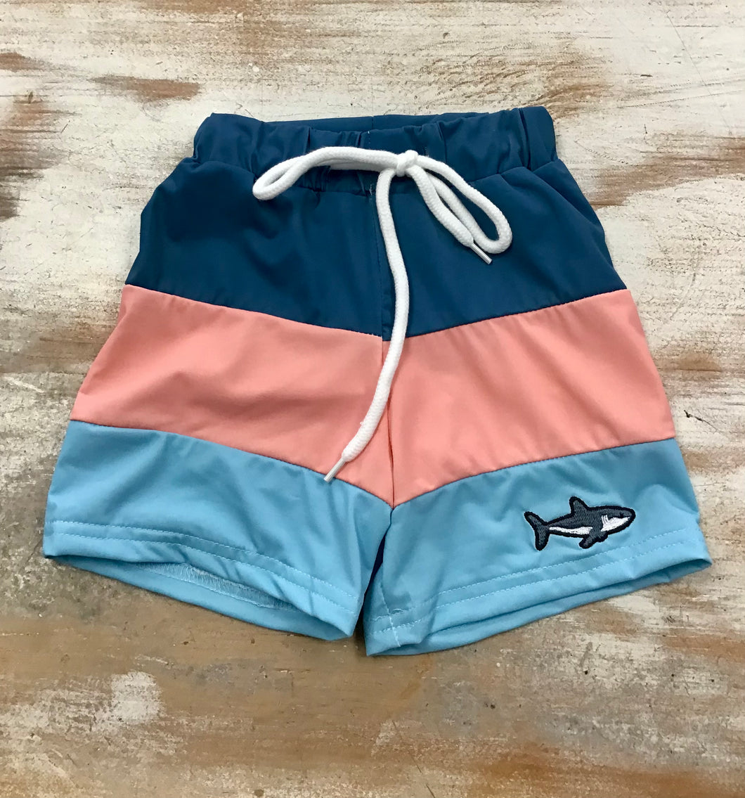 Color Block Trunks