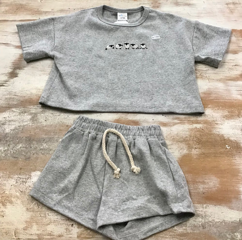 Gray Sheep Set