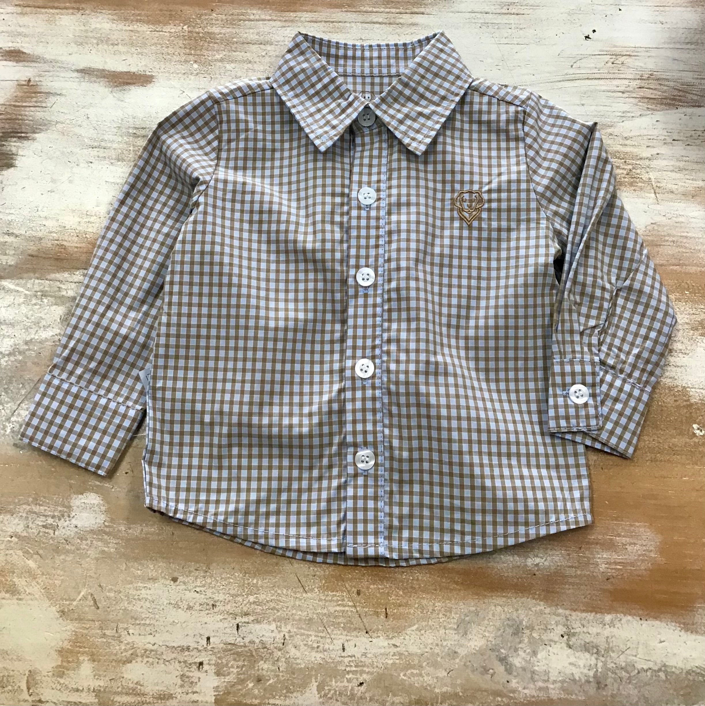 Blue/Brown Button Up
