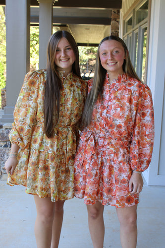 Emily Dress