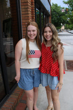 Flag Sweater Vest