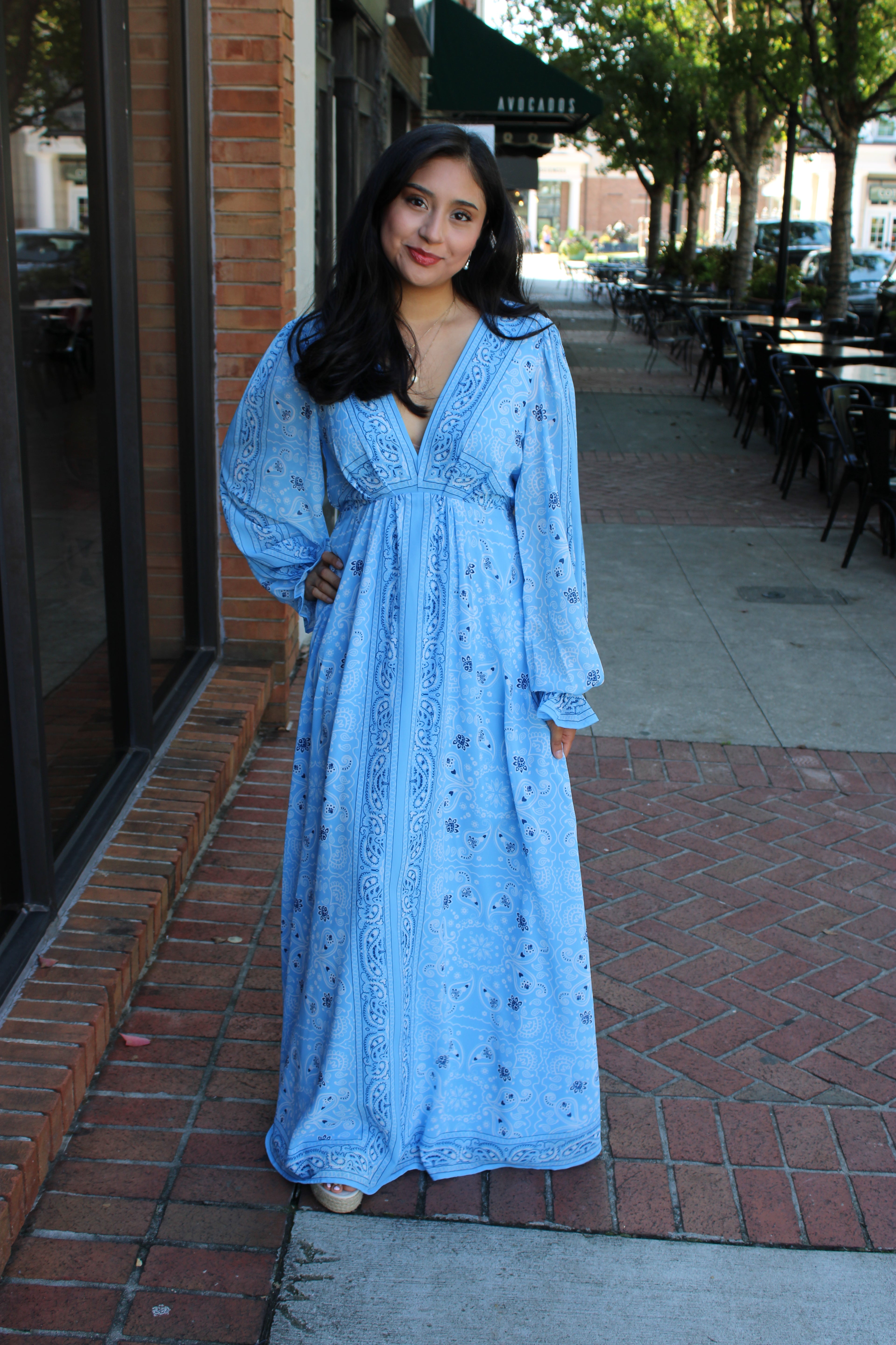 Savannah Dress